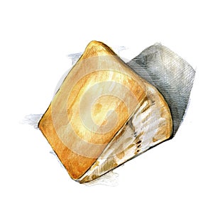 Pecorino Romano italian cheese watercolor