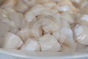 Pecten maximus or  great scallop, king scallop, St James shell or escallop fresh and open ready to cook photo