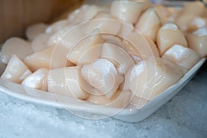 Pecten maximus or  great scallop, king scallop, St James shell or escallop fresh and open ready to cook photo