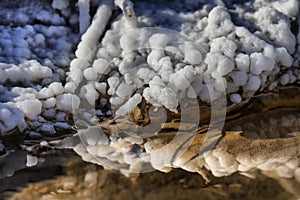 Peculiar salt pearls near a salten spring in Parajd, Transylvani