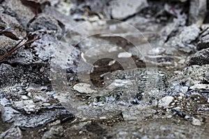 Peculiar volcanic mineral water fount in Balvanyos, Transylvania photo