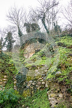 The peculiarity of the Bulgarian mountain vegetation