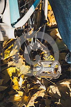 Pedal of bicycle against background of yellow leaves of tree