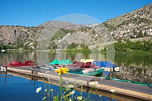 Pedal boats on a lake