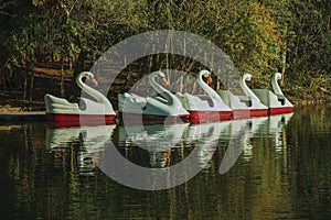 Pedal boats in the shape of swan on a lake photo