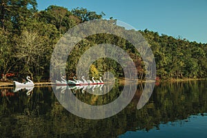 Pedal boats in the shape of swan on a lake photo