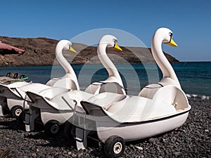 Beach Pedalos Holiday Fun