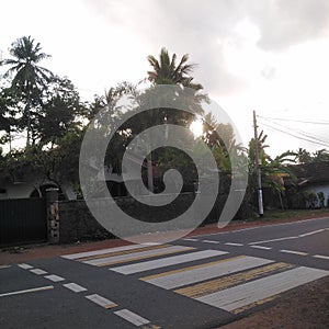 Pedastrian crossing of a city road background sri lanka ceylon