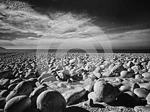Peddles on the beach