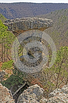 Pedestal Rock in the Forest