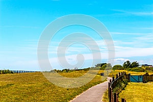 Pedestrian alley in a city park in a seaside town, green vegetation, active rest