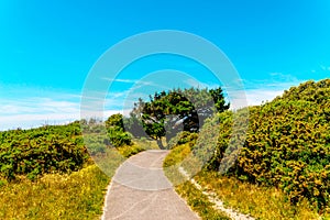 Pedestrian alley in a city park in a seaside town, green vegetation, active rest