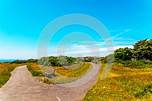 Pedestrian alley in a city park in a seaside town, green vegetation, active rest