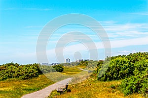 Pedestrian alley in a city park in a seaside town, green vegetation, active rest