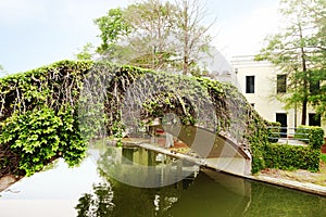 A pedestrian bridge in Armstrong Park, New Orleans