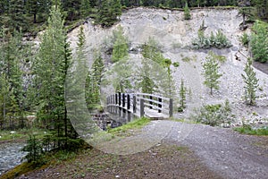 Pedestrian Bridge in the Forest
