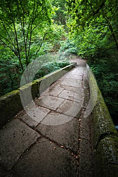 Pedestrian bridge in the natural park