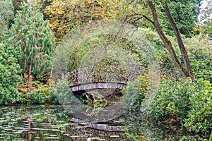 Pedestrian bridge in Tatton Park, built with reclaimed tree branches.