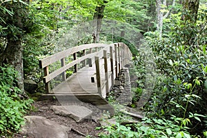 Pedestrian Bridge Trail Blue Ridge Mountains NC