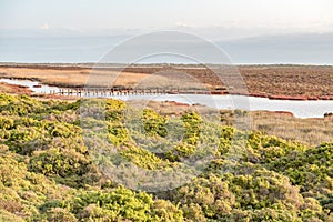 Pedestrian bridge in the wetlands at Papendorp