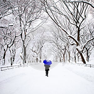 Pedestrian in Central Park, New York in winter