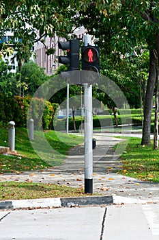 Pedestrian Crossing Light