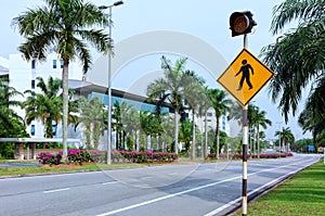 Pedestrian crossing road sign with red traffic light, empty city street with palm trees and flowers