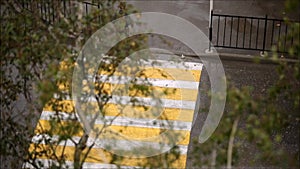 Pedestrian crossing. The road to school, the view from the window.