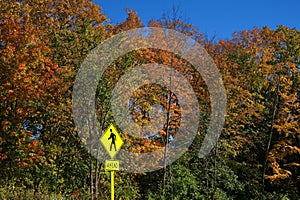 Pedestrian crossing sign in autumn