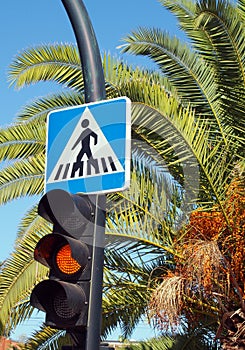 Pedestrian crossing sign with palm tree and traffic lights