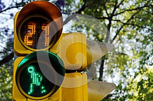 Pedestrian Crossing Signal