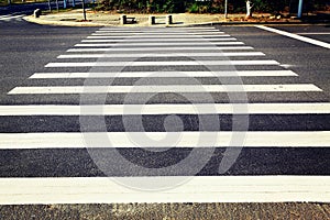 pedestrian crossing zebra crosswalk