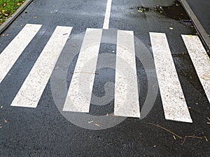 Pedestrian crossing the zebra road