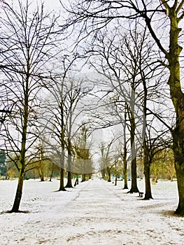 Pedestrian footpath in a park covered in