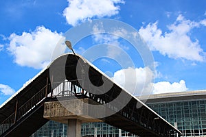 Pedestrian overpass in bangkok