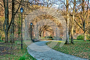 Pedestrian path in autumn park with street lantern and yellow trees