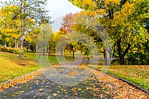 Pedestrian Path in Canada in the Fall
