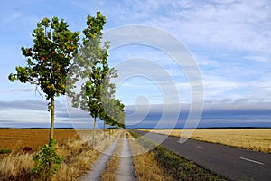 Carretera Hacia Reliegos photo