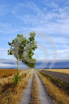 Carretera Hacia Reliegos photo