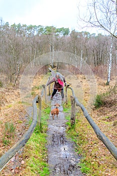 Pedestrian path with mature woman trying to walk on muddy ground, dog looking at her