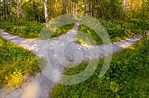 The pedestrian path in the park is diverges in three directions: straight, left and right. Summer conceptual landscape