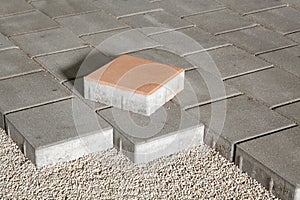 Pedestrian path with paver bricks. Sidewalk pavement