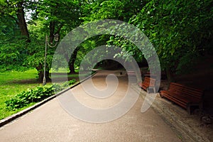 Pedestrian path in summer green city park on background of trees