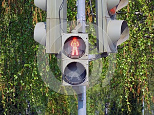 Pedestrian prohibitive traffic signal