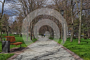 Pedestrian road among trees and green lawns in a spring park photo