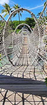 Pedestrian Rope Bridge In Paradise