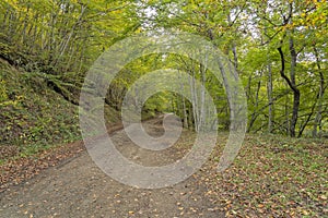 Pedestrian route from Soto de Sajambre to the Vegabano mountain refuge in Spain photo