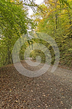 Pedestrian route from Soto de Sajambre to the VegabaÃÂ±o mountain refuge in Leon photo