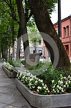 Pedestrian Street in city center of Kaunas, Lithuania