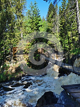 Pedestrian suspension bridge over the Ahvenkoski waterfall on the Tokhmayoki River in Karelia on a clear summer morning